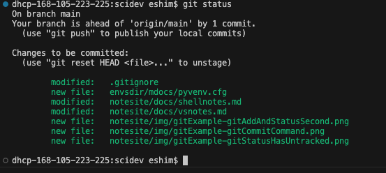 New Git Status