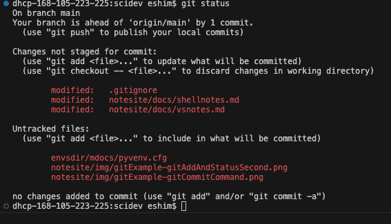 Untracked Files in Git Status